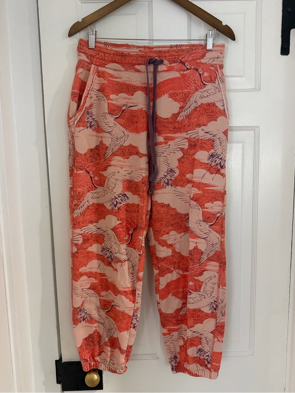 Anthropologie sweatpants